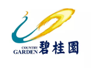 通海口镇碧桂园地产